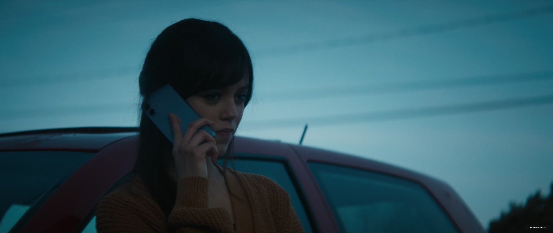 426.jpg