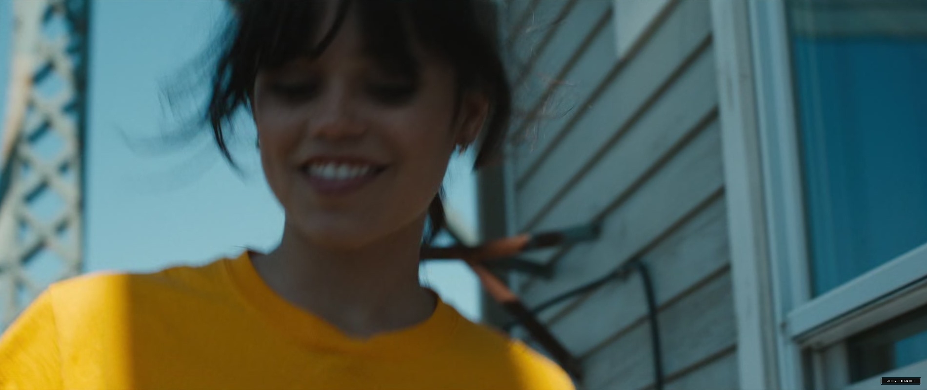 805.jpg
