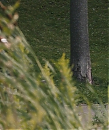 2215.jpg