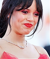 255.jpg