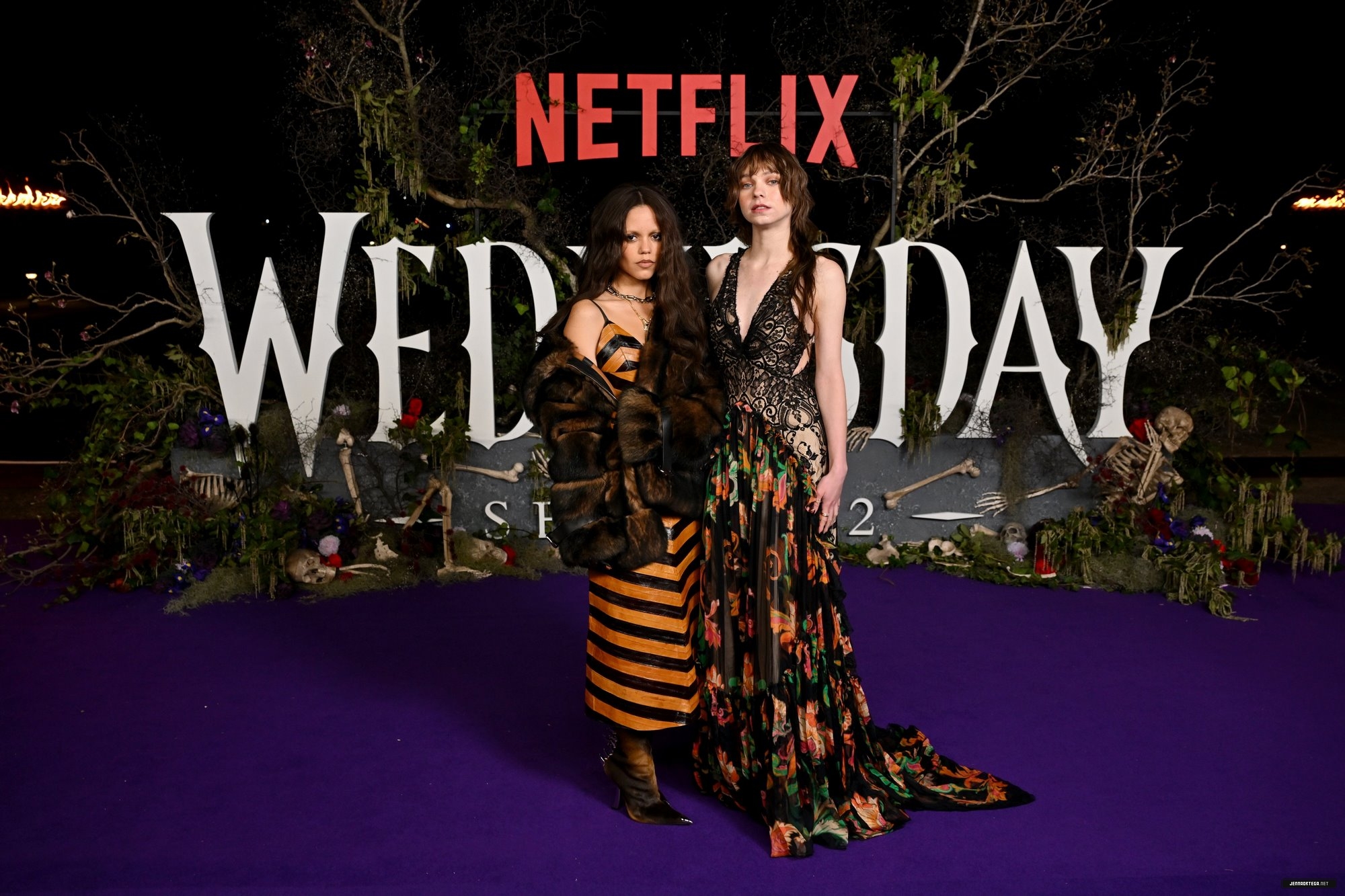 08.jpg