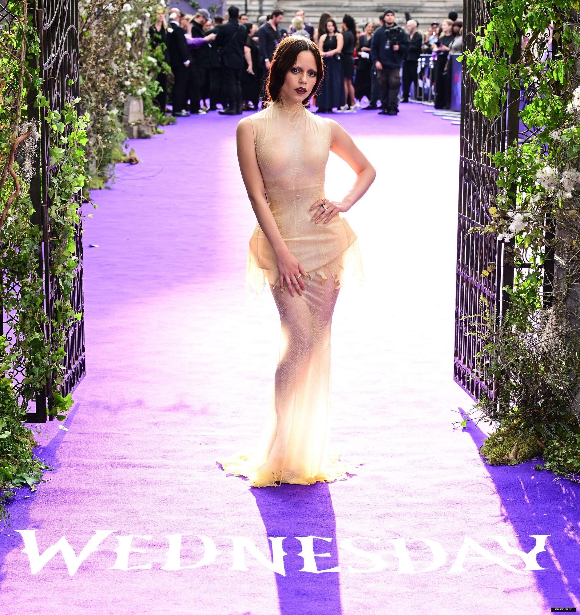 0339.jpg