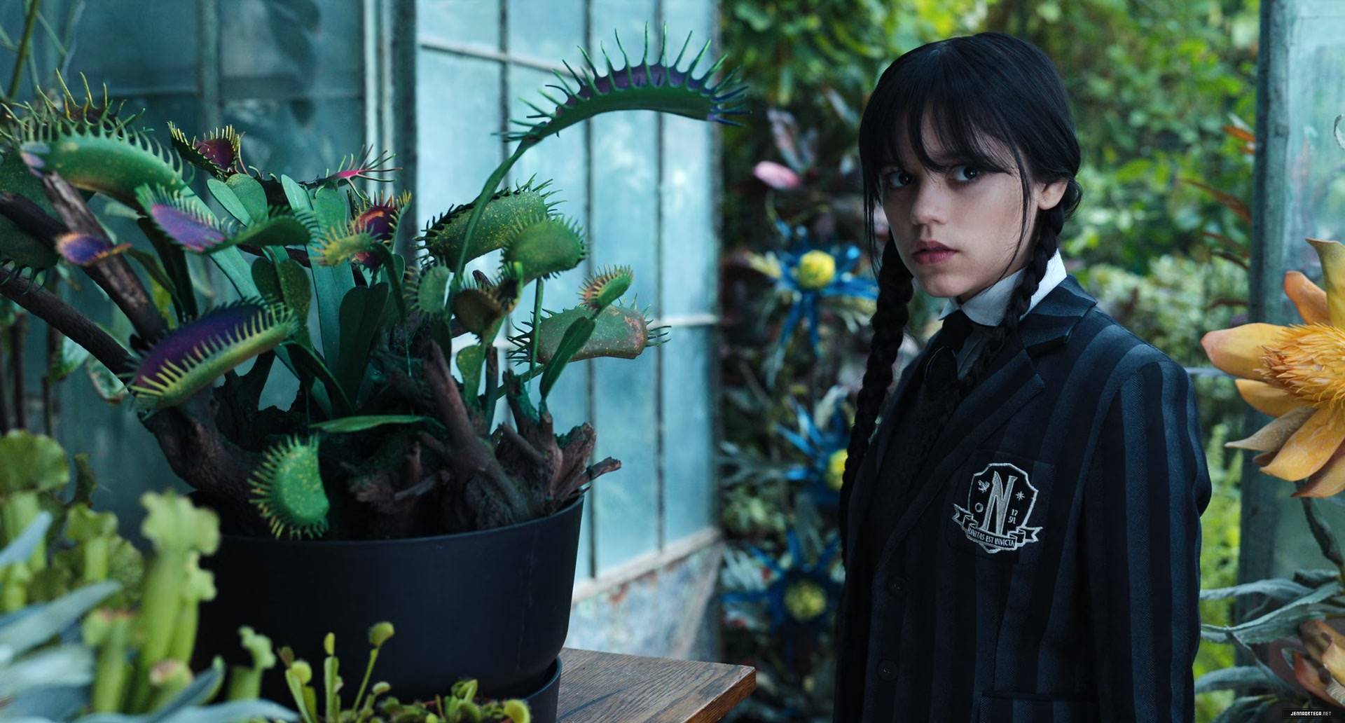 261.jpg
