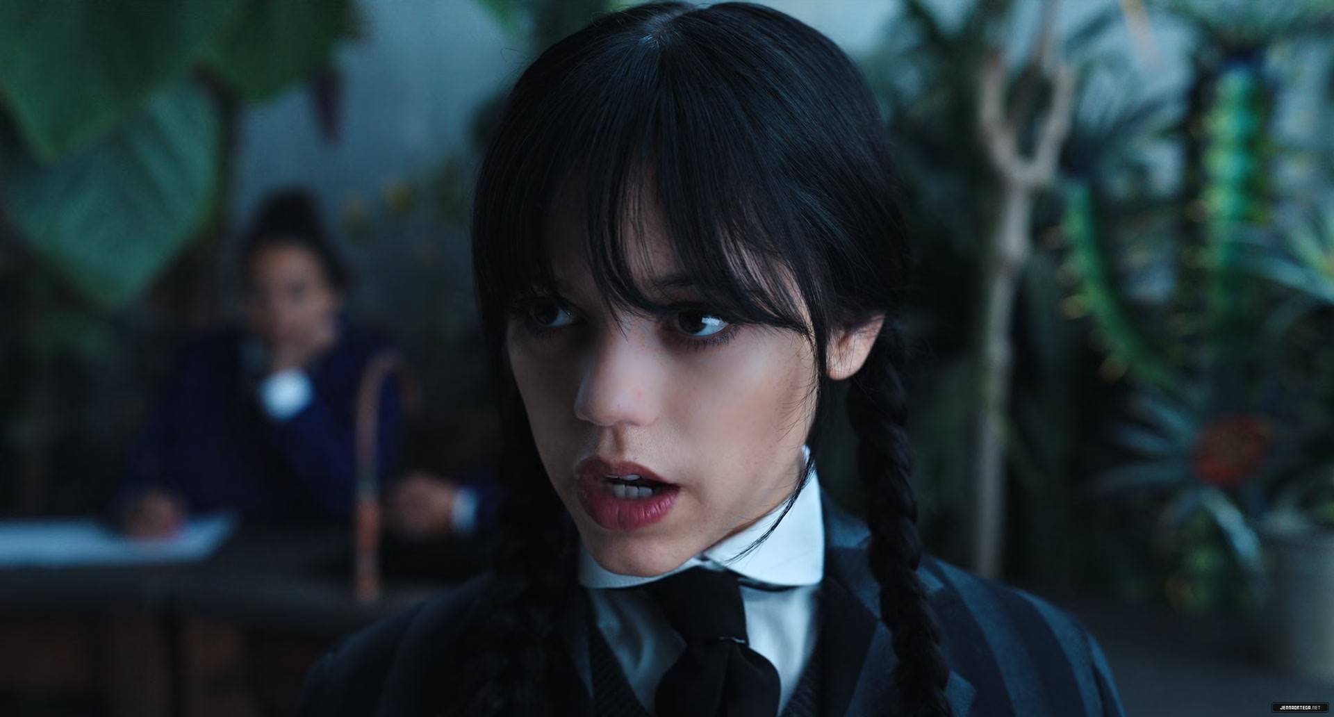 285.jpg