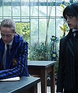 267.jpg